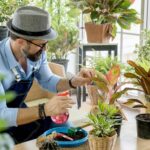 the benefits of plant nurseries webfreen.com