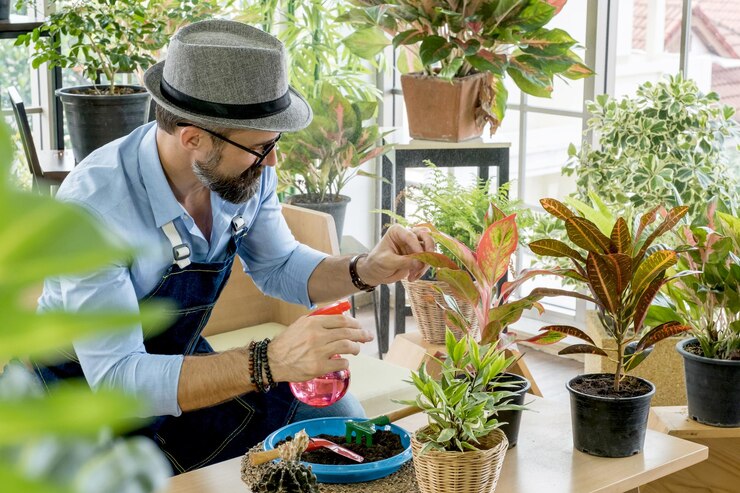 the benefits of plant nurseries webfreen.com